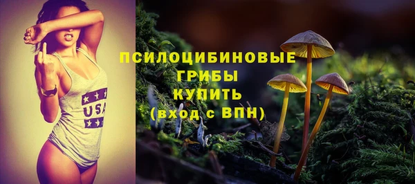 крисы Алексин